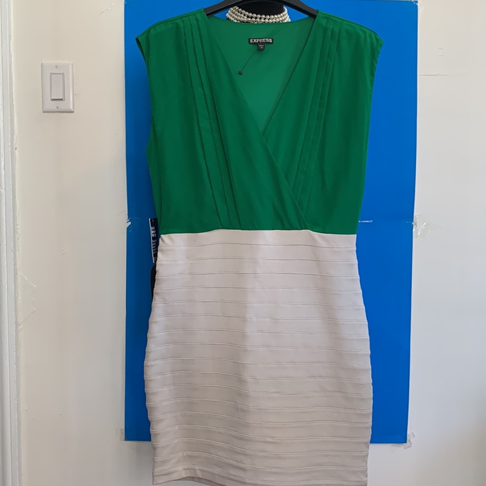 COPY - EXPRESS NEW Fitted Dress - Picture 12 of 14